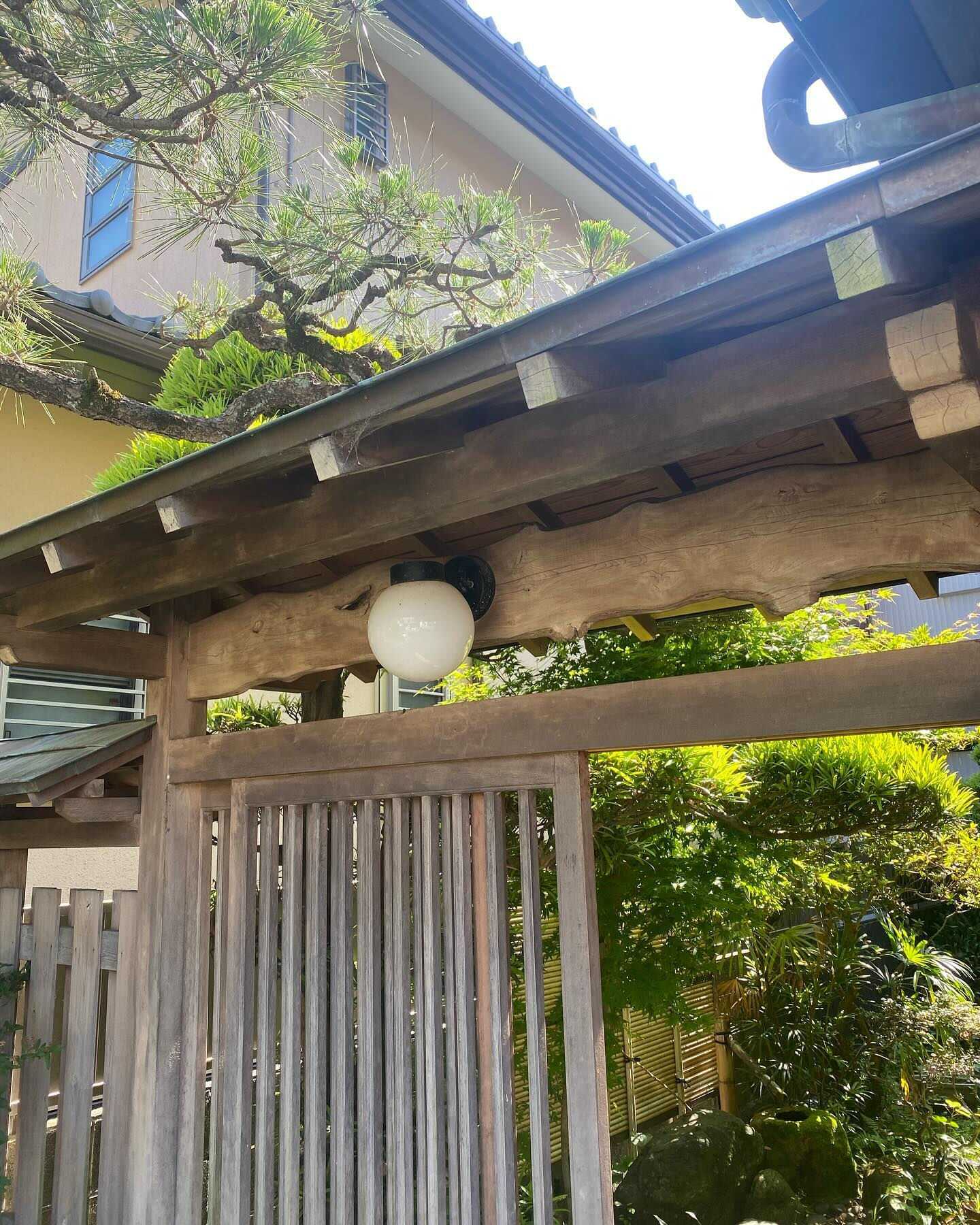 こんなところにもスズメバチの巣があります